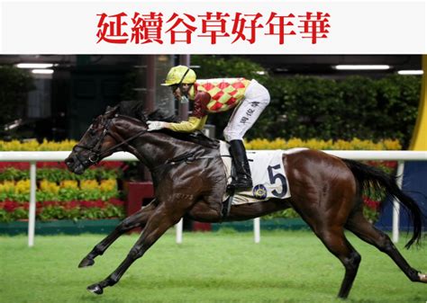 hkjc chinese|hong kong jockey club website.